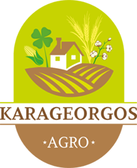 KARAGEORGOS logo